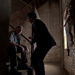 WHITE_COLLAR_-_E4X10_VESTED_INTEREST_515.jpg