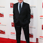 02052017_-_16th_Annual_AARP_The_Magazines_Movies_For_Grownups_Awards_007.jpg