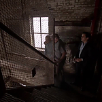 WHITE_COLLAR_-_E4X10_VESTED_INTEREST_603.jpg