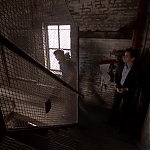 WHITE_COLLAR_-_E4X10_VESTED_INTEREST_606.jpg