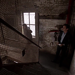 WHITE_COLLAR_-_E4X10_VESTED_INTEREST_608.jpg