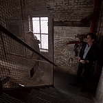 WHITE_COLLAR_-_E4X10_VESTED_INTEREST_609.jpg