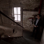 WHITE_COLLAR_-_E4X10_VESTED_INTEREST_610.jpg