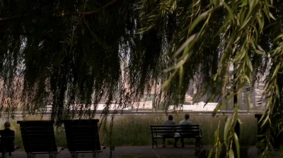 WHITE_COLLAR_-_E4X16_IN_THE_WIND_0353.jpg