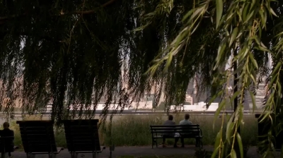 WHITE_COLLAR_-_E4X16_IN_THE_WIND_0354.jpg