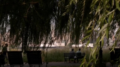 WHITE_COLLAR_-_E4X16_IN_THE_WIND_0358.jpg