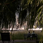 Filename=WHITE_COLLAR_-_E4X16_IN_THE_WIND_0352.jpg
Filesize=90KiB
Dimensions=1280x718
Date added=Apr 29, 2014 WHITE_COLLAR_-_E4X16_IN_THE_WIND_0352.jpg
