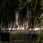 Filename=WHITE_COLLAR_-_E4X16_IN_THE_WIND_0357.jpg
Filesize=89KiB
Dimensions=1280x718
Date added=Apr 29, 2014 WHITE_COLLAR_-_E4X16_IN_THE_WIND_0357.jpg