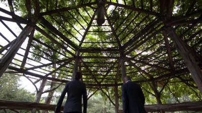 WHITE_COLLAR_-_E4X16_IN_THE_WIND_1058.jpg