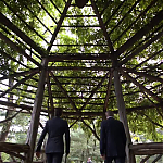 Filename=WHITE_COLLAR_-_E4X16_IN_THE_WIND_1061.jpg
Filesize=110KiB
Dimensions=1280x718
Date added=Apr 29, 2014 WHITE_COLLAR_-_E4X16_IN_THE_WIND_1061.jpg