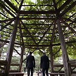 Filename=WHITE_COLLAR_-_E4X16_IN_THE_WIND_1066.jpg
Filesize=110KiB
Dimensions=1280x718
Date added=Apr 29, 2014 WHITE_COLLAR_-_E4X16_IN_THE_WIND_1066.jpg