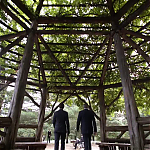Filename=WHITE_COLLAR_-_E4X16_IN_THE_WIND_1067.jpg
Filesize=108KiB
Dimensions=1280x718
Date added=Apr 29, 2014 WHITE_COLLAR_-_E4X16_IN_THE_WIND_1067.jpg