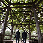 Filename=WHITE_COLLAR_-_E4X16_IN_THE_WIND_1068.jpg
Filesize=109KiB
Dimensions=1280x718
Date added=Apr 29, 2014 WHITE_COLLAR_-_E4X16_IN_THE_WIND_1068.jpg