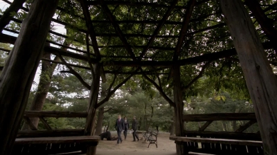 WHITE_COLLAR_-_E4X16_IN_THE_WIND_1275.jpg