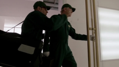 WHITE_COLLAR_-_E4X16_IN_THE_WIND_1355.jpg
