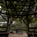 WHITE_COLLAR_-_E4X16_IN_THE_WIND_1269.jpg