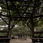 WHITE_COLLAR_-_E4X16_IN_THE_WIND_1270.jpg