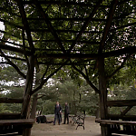 WHITE_COLLAR_-_E4X16_IN_THE_WIND_1272.jpg