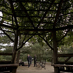 WHITE_COLLAR_-_E4X16_IN_THE_WIND_1274.jpg