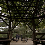 WHITE_COLLAR_-_E4X16_IN_THE_WIND_1275.jpg