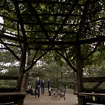 WHITE_COLLAR_-_E4X16_IN_THE_WIND_1276.jpg
