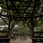 WHITE_COLLAR_-_E4X16_IN_THE_WIND_1277.jpg