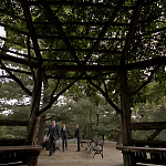 WHITE_COLLAR_-_E4X16_IN_THE_WIND_1278.jpg