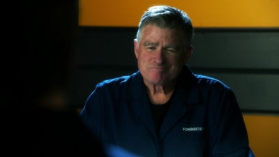 CSI_CRIME_SCENE_INVESTIGATION_-_E14X22_DEAD_IN_HIS_TRACKS_0981.jpg