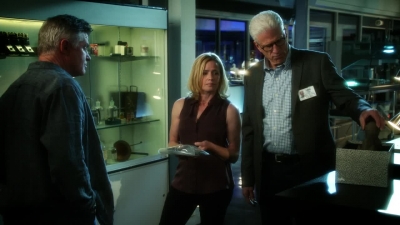 CSI_CRIME_SCENE_INVESTIGATION_-_E14X22_DEAD_IN_HIS_TRACKS_1187.jpg
