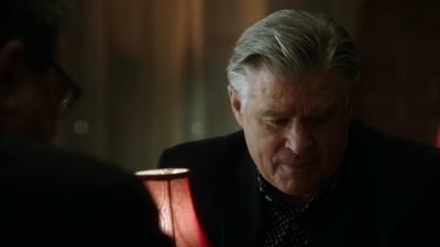 BLUE_BLOODS_-_E8X17_CLOSE_CALLS_218.jpg