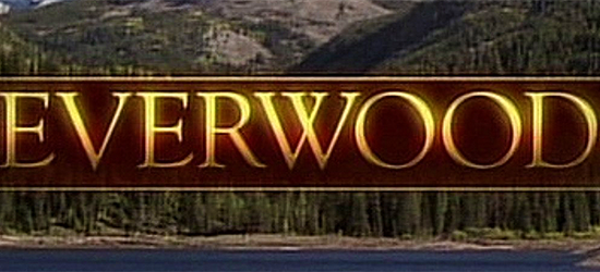 “Everwood” Now Airing on Hulu